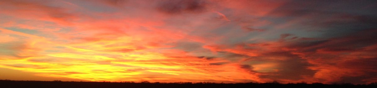 AFewThingsaboutAFewThings